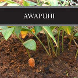 Awapuhi Reed Diffuser