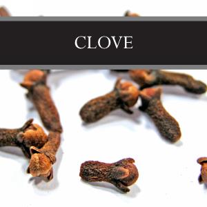 Clove Wax Tart