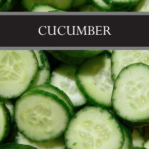 Cucumber Wax Tart