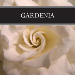 Gardenia Wax Tart