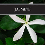 Jasmine Lotion
