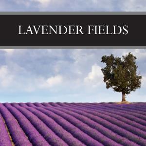 Lavender Fields Wax Tart