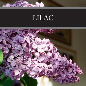 Lilac Wax Tart
