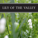 Lily of the Valley Lotion