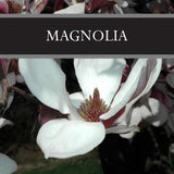 Magnolia Reed Diffuser