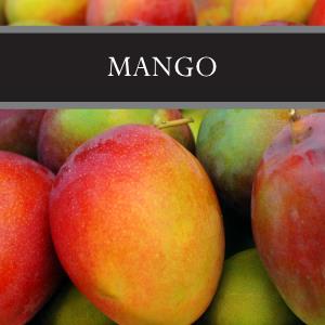 Mango Lotion