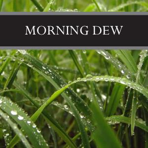 Morning Dew Wax Tart