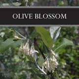 Olive Blossom Reed Diffuser