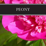 Peony Candle