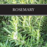 Rosemary Sugar Scrub