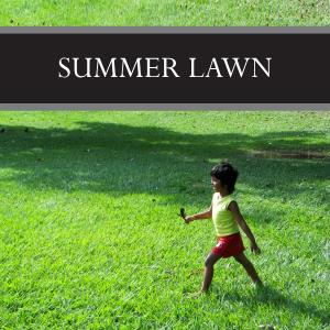 Summer Lawn Wax Tart