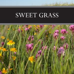 Sweet Grass Wax Tart
