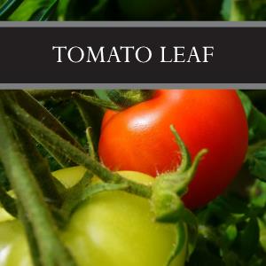 Tomato Leaf Wax Tart