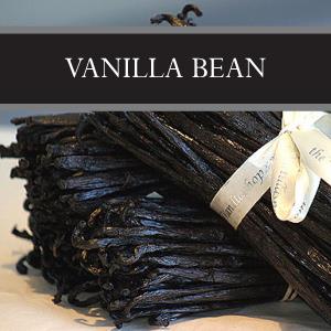 Vanilla Bean Wax Tart