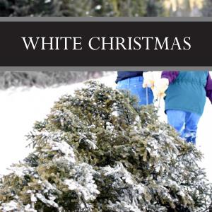 White Christmas Wax Tart