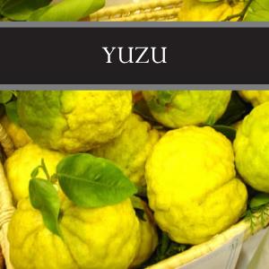 Yuzu Sugar Scrub